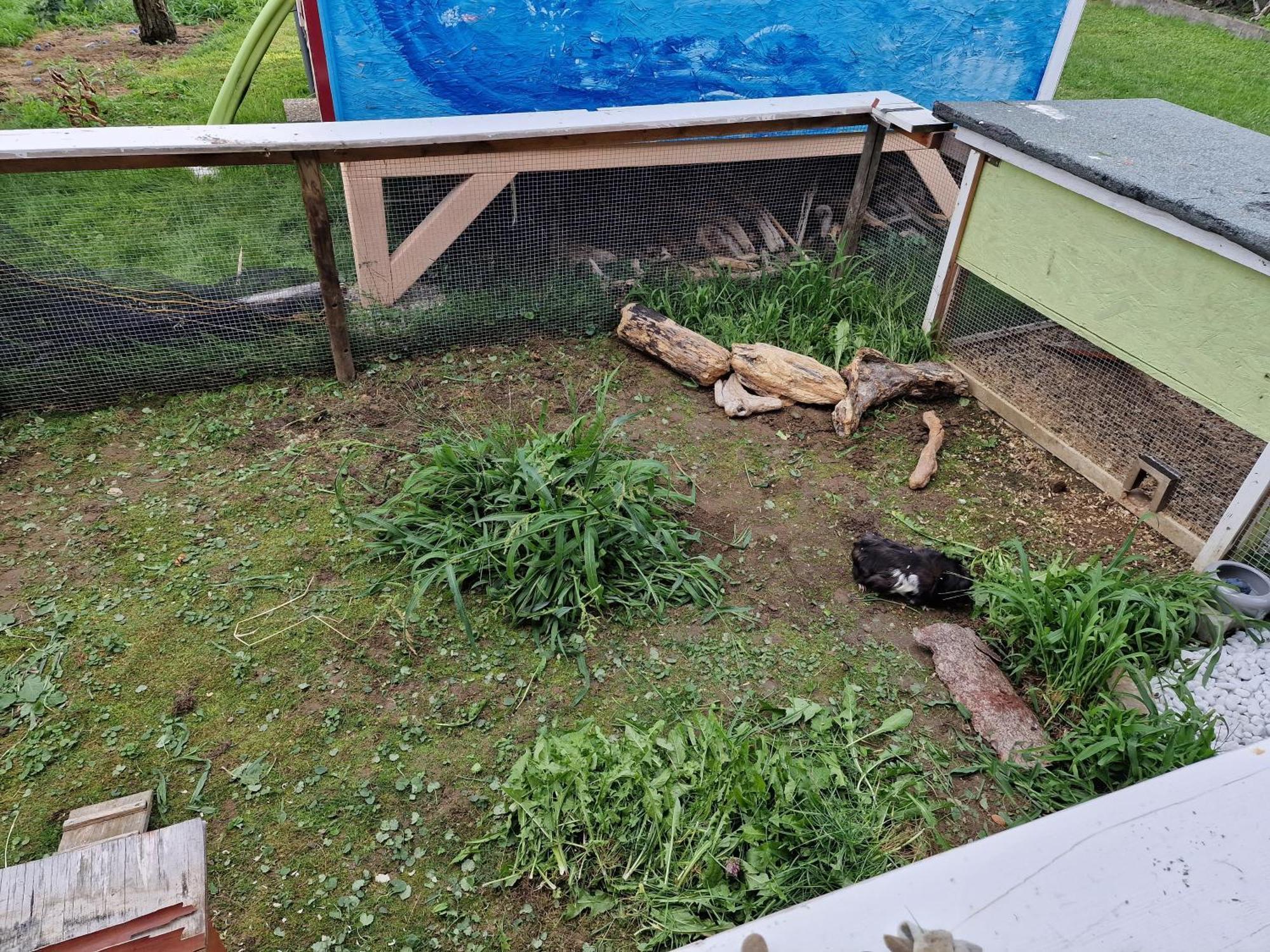 Ferienwohnung Ingrid Kressbronn am Bodensee Luaran gambar